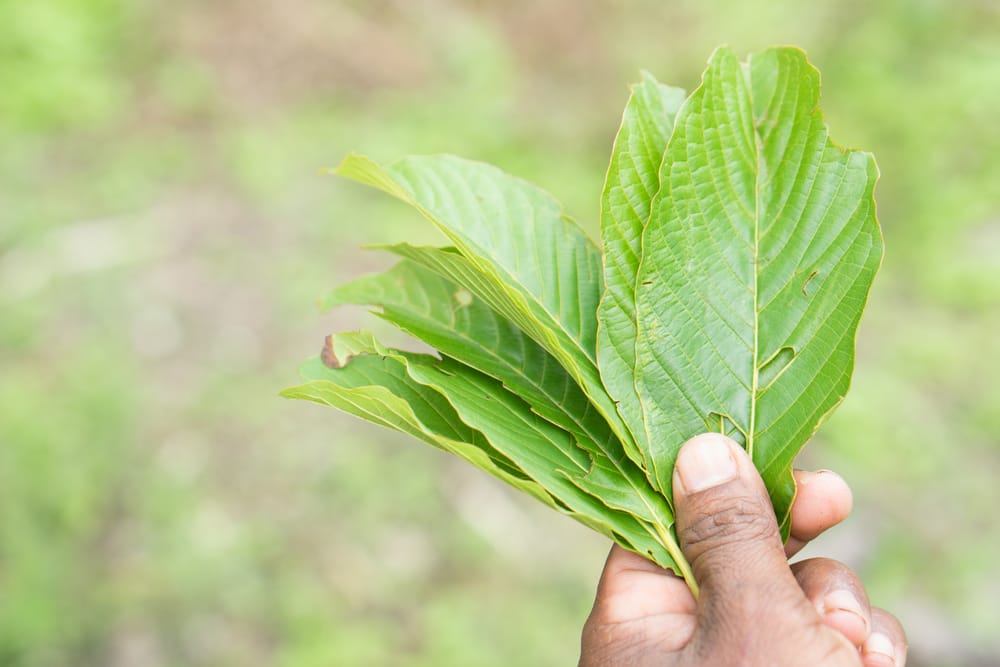 What is Kratom and is it safe?