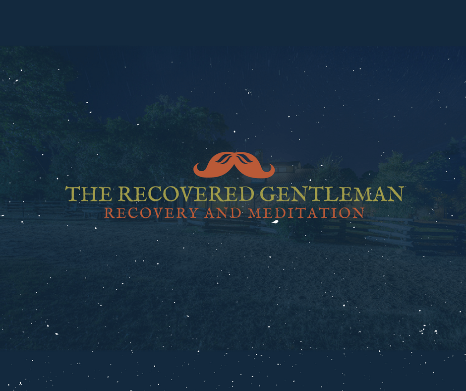 The Recovered Gentleman - Recovery And Meditation
