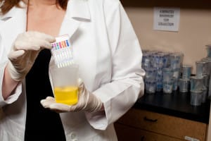 lab tech performs crystal meth drug test