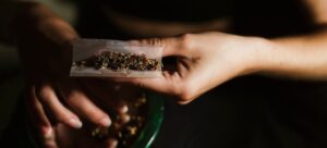 Young woman rolling a joint at home