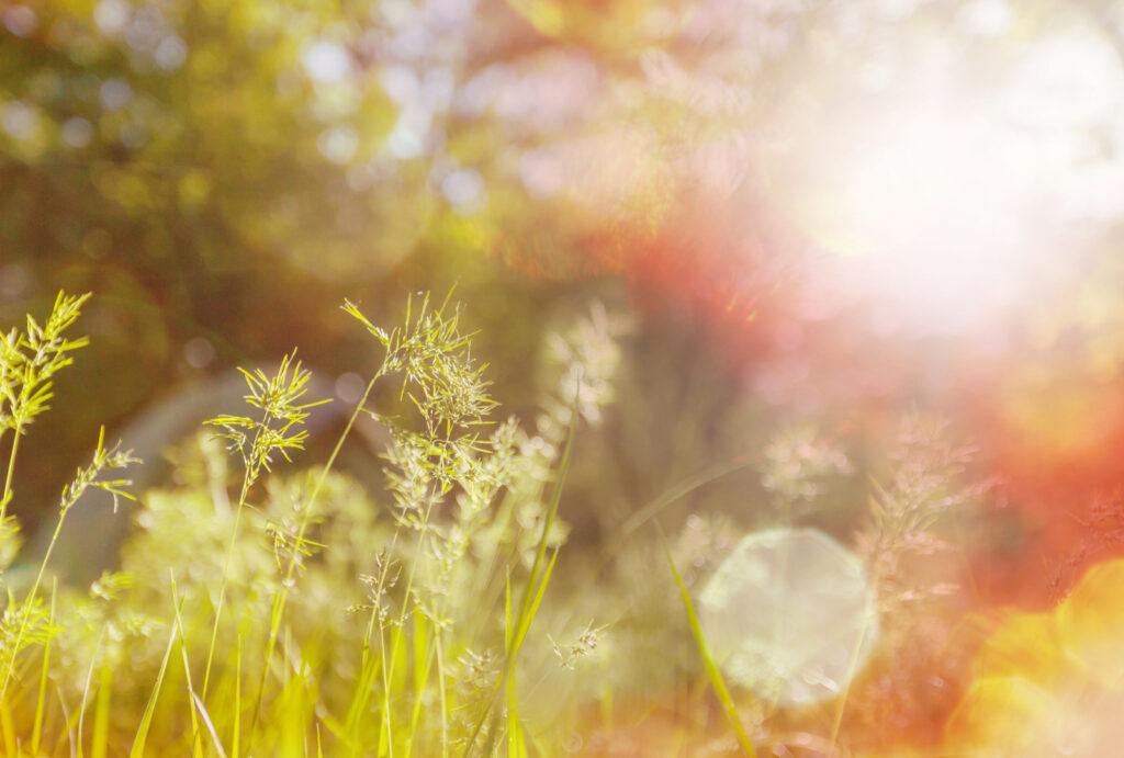 AA Prayers: The Serenity Prayer and 12-Step Prayer