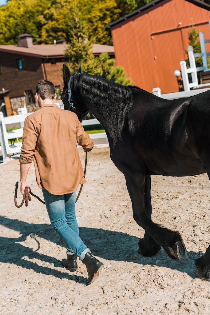 man walking with horse on a ranch, which is where our drug rehab is situated in central texas.