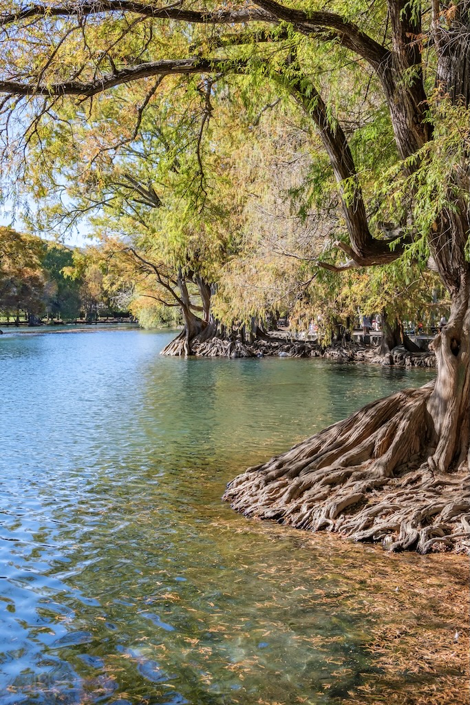 A scenic view of town lake in Austin, Texas